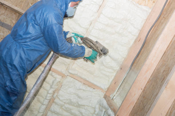 Best Eco-Friendly or Green Insulation Solutions  in Warren, PA